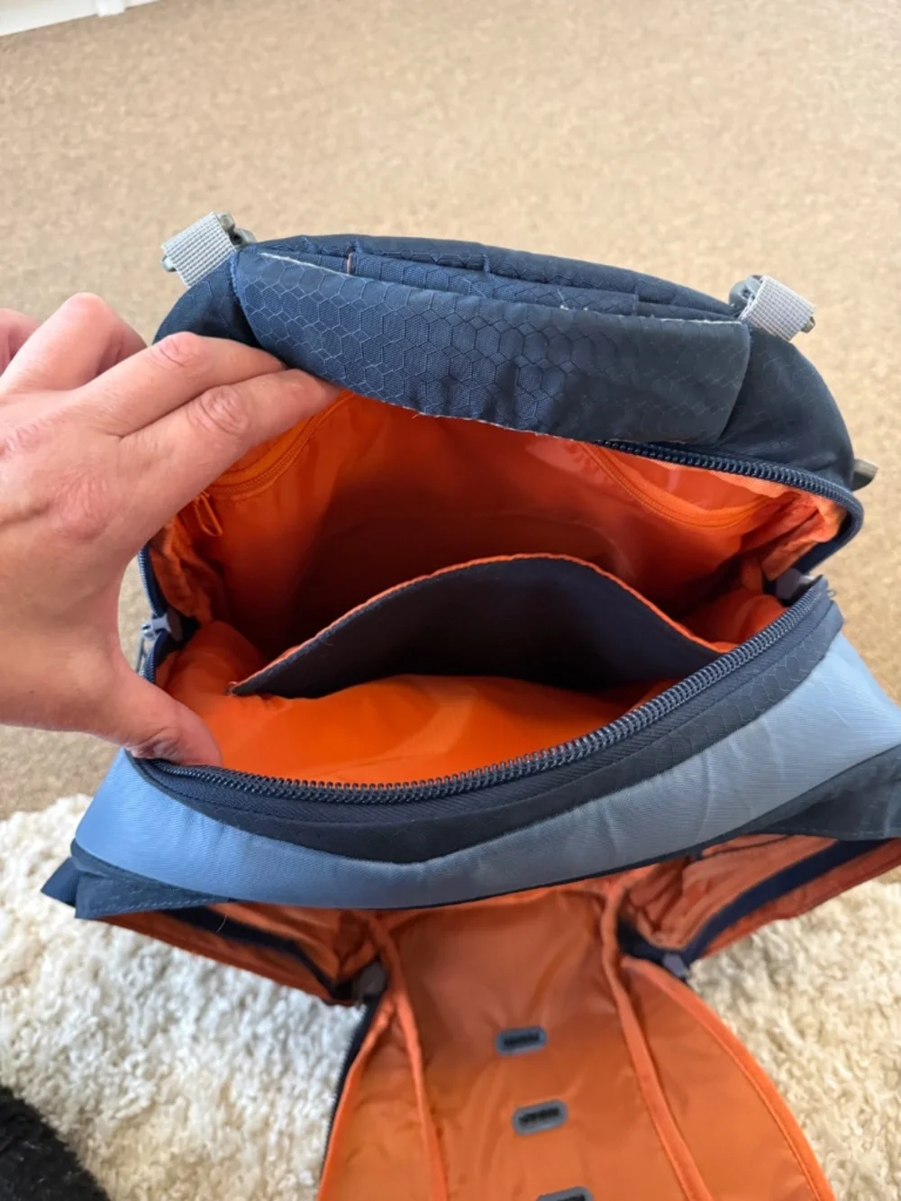 Kurgo G-train dog carrier backpack